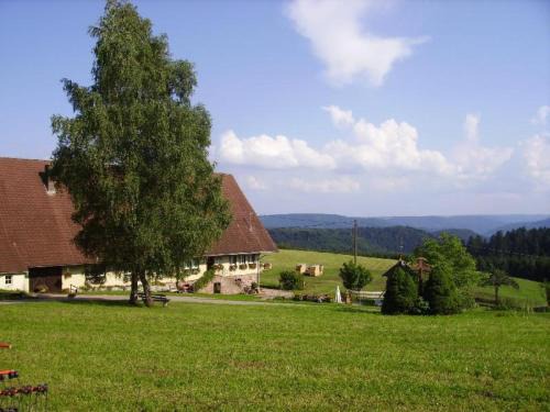 Wolfach - Saint Roman House | Äckerhof