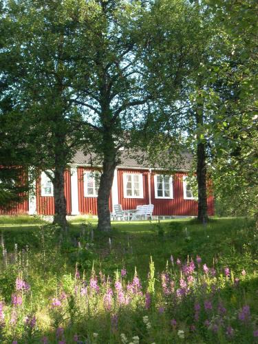 Dikanas Apartment | Å-hemmet i Dikanäs