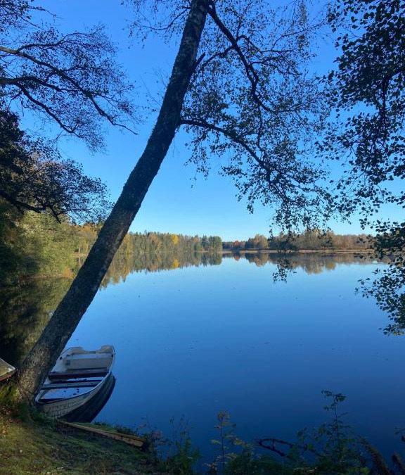 Lagan Apartment | Åvillan - River house