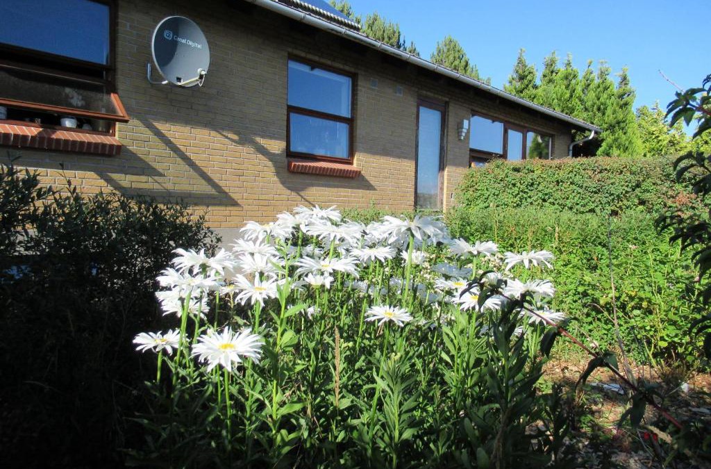 Nordfyns Kommune Bed & Breakfast | Æbelø-guidens B&B