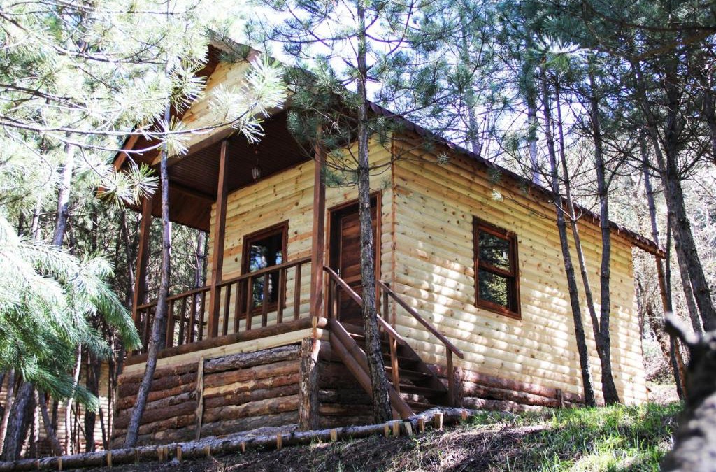 Mengen Ski Chalet | Çam Pınarı Doğa Evleri