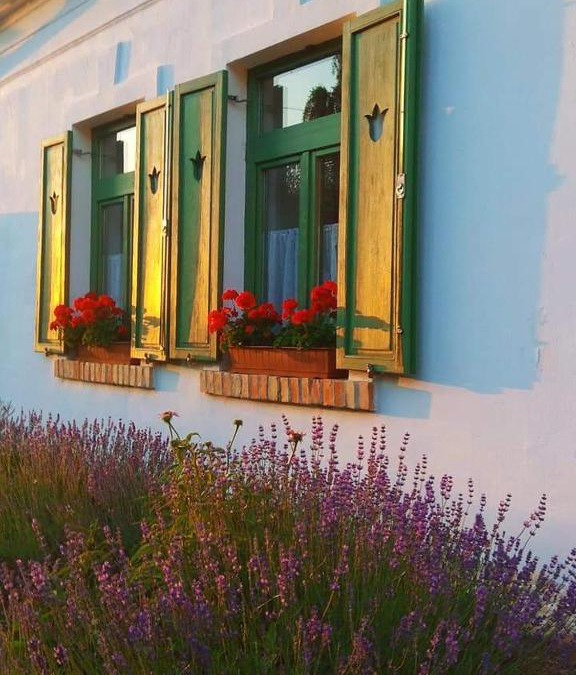 Bakonyszucs House | Égkőris Vendégház