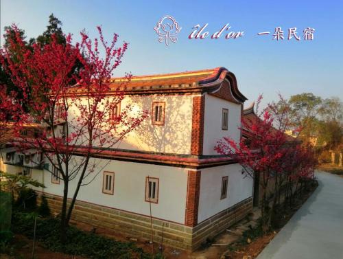 Jinsha House | île d'or 一朵民宿 - 中蘭