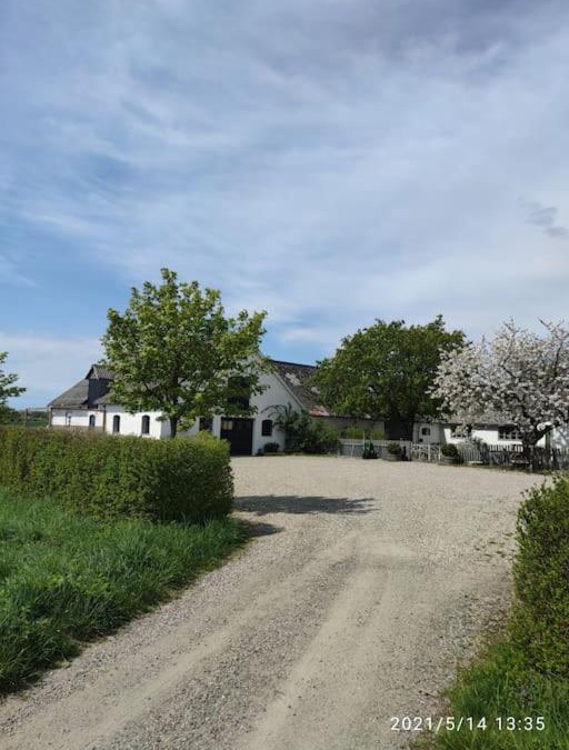 Ystad House | Öja