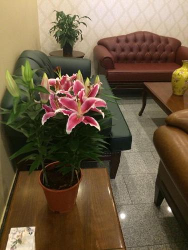Seyhan Hotel | Ünver Hotel