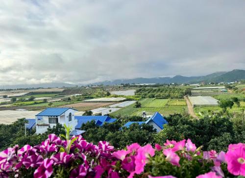 Don Duong House | Điểm cộng đồng du lịch nông nghiệp nông thôn Avocado Farm