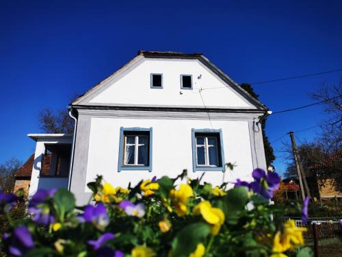 Hegyhatszentjakab Apartment | Őrség Kincse Udvarház