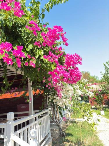 Cirali Villa | ŞAH apart
