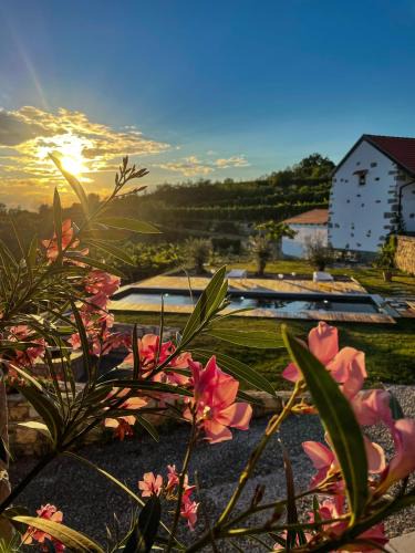 Tomaj House | Škerlj Wine Estate