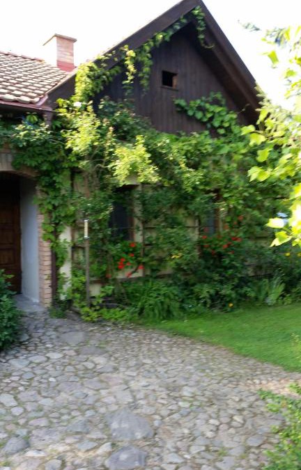 Lisewiec House | Żuławka