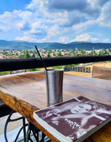 Vilia Apartment | Το ραχατι