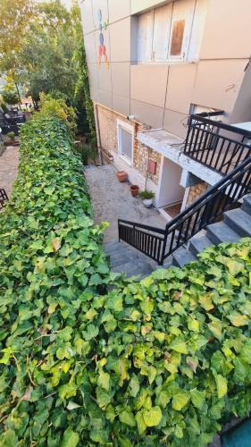Paramythia Apartment | Το σπίτι της γιαγιάς