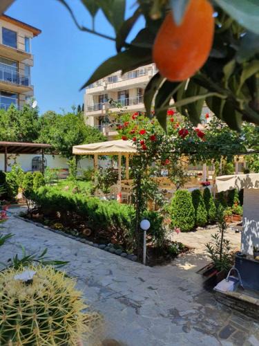 Chernomorets Hotel | Акра-Ф