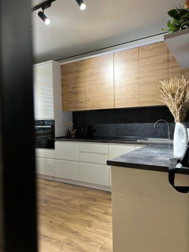 Zalissya Apartment | Апартаменти затишні в центрі Чорткова