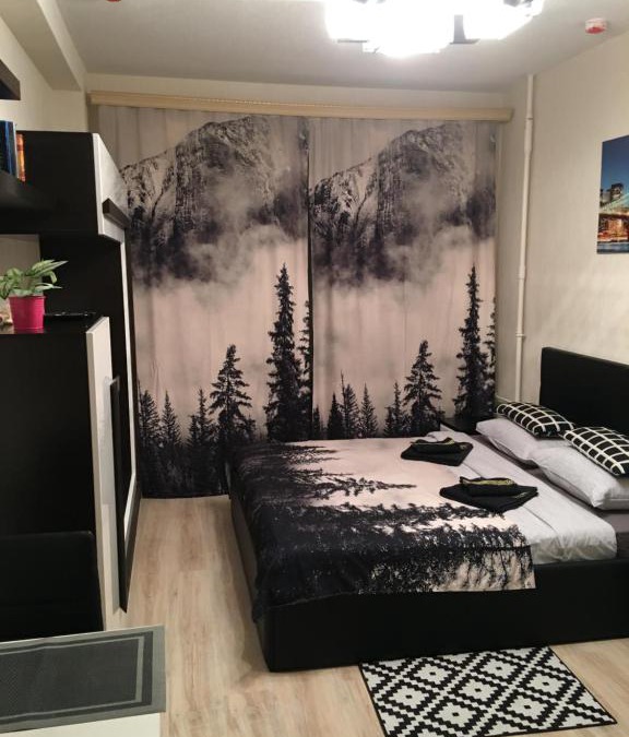 Zvezdnoe Apartment | Апартаменты "ДоМиНо"