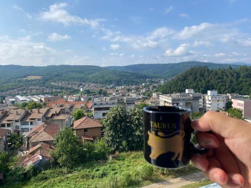 Tryavna Apartment | Апартамент Панорама Трявна - кът за отдих, въздухолечение и почивка
