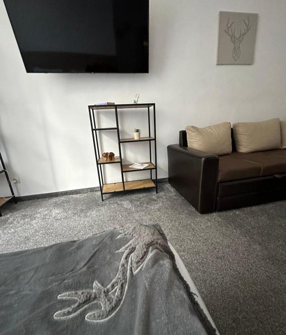 Borovets Apartment | Апартхотел Флора 213Б