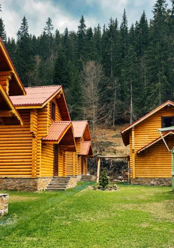 Pamporovo Hotel | Власовъ