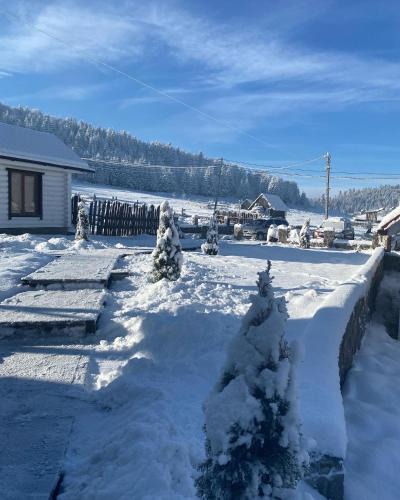 Bukovel House | Гостьовий дім Круасан Сімейний