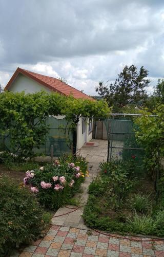 Vapnyarka Apartment | Домик у Ляны
