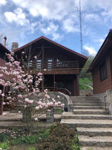 Rzhyshchiv Villa | Дом для отдыха в лесу