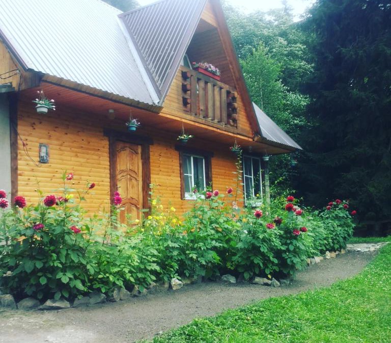 Teberda Cabin | Лодж