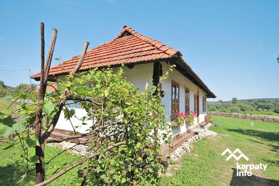 Vyzhnytsya House | Садиба Гардига