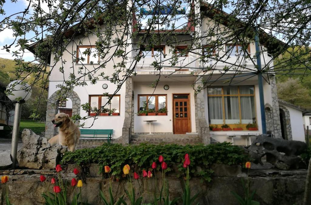 Ribaritsa Bed & Breakfast | Самостоятелни стаи в къща за гости Балкан