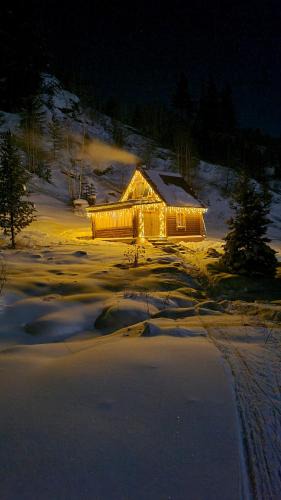 Kazakhstan Cabin | Таежный домик Васильево