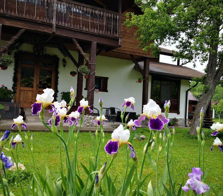 Dahovskoe House | Хамышинские Дачи