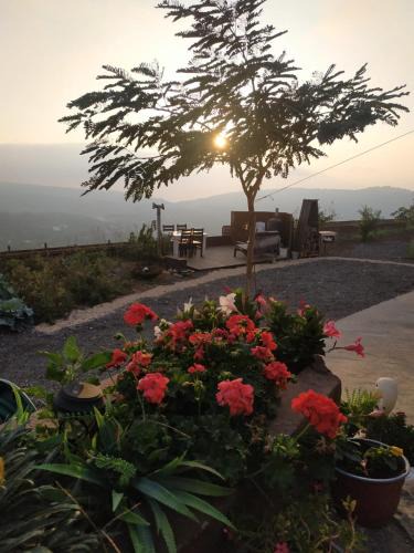 Majdal al-Shams Ski Chalet | בקתה בגלקסיה