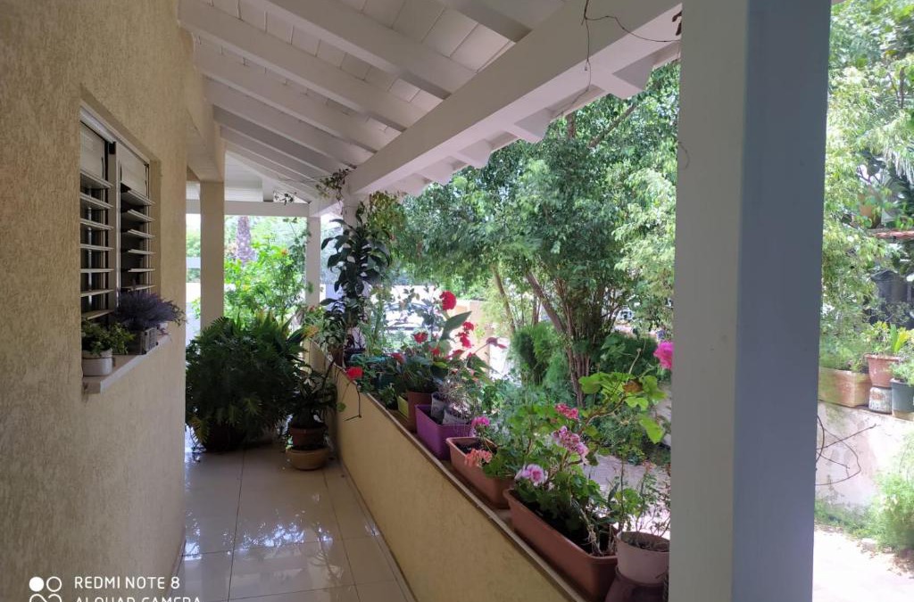 Gedera Ski Chalet | בקתה פרטית מקסימה בלב המושבה