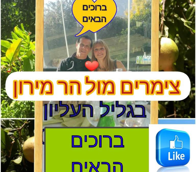 Tsiv'on Apartment | צימרים מול הר מירון בצבעון בגליל העליון אורלי ומאיר,וילה למשפחות ולזוגות