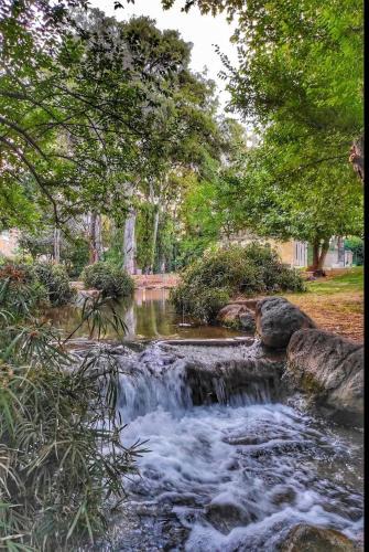 Qiryat Shemona House | צימר על הנחל