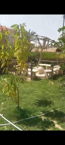 Ismailia House | شقه ارضي بحديقة خاصه في النورس