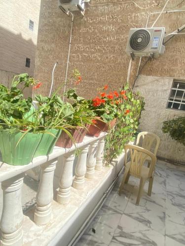 Al Jubeiha Apartment | شقه بغرفه وصاله وبلكونه بدون شراكة