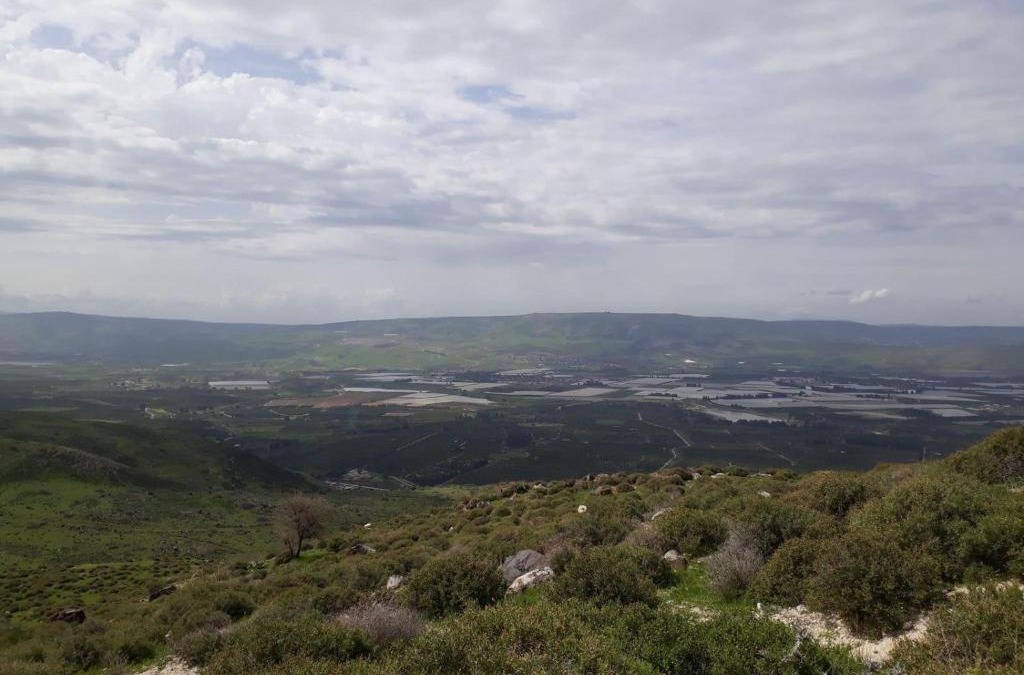 Ajloun Governorate Apartment | شقه فندقية سيلا