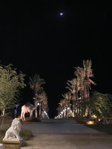 Riyadh Other | مزرعة ومنتجع سنام نجد