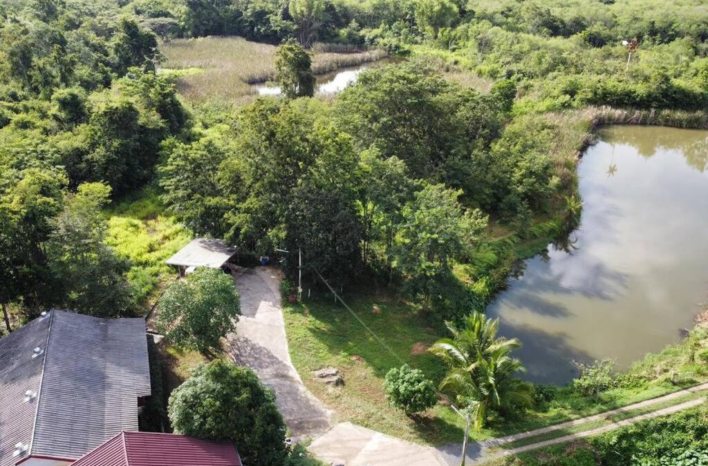 Khlong Muang House | ครอบครัวบ้านบนภูเขา Family Mountain Home