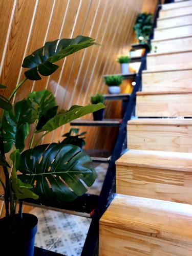 Sena House | บ้านนกฮูก อิงธารา