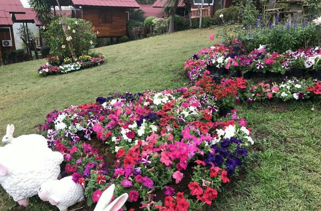 Khaem Son House | ภูน้ำทิพย์ รีสอร์ท