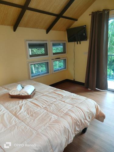 Phrom Khiri Resort | สถานีน้ำหวาน รีสอร์ท น้ำตกอ้ายเขียว