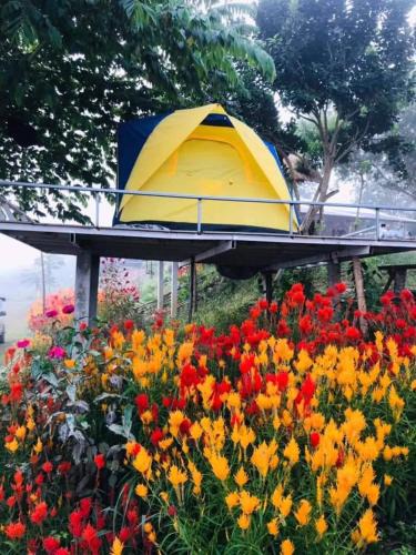 Sang Khom House | แม่ป้อมโฮมสเตย์ ลานกางเต้นท์ริมโขง