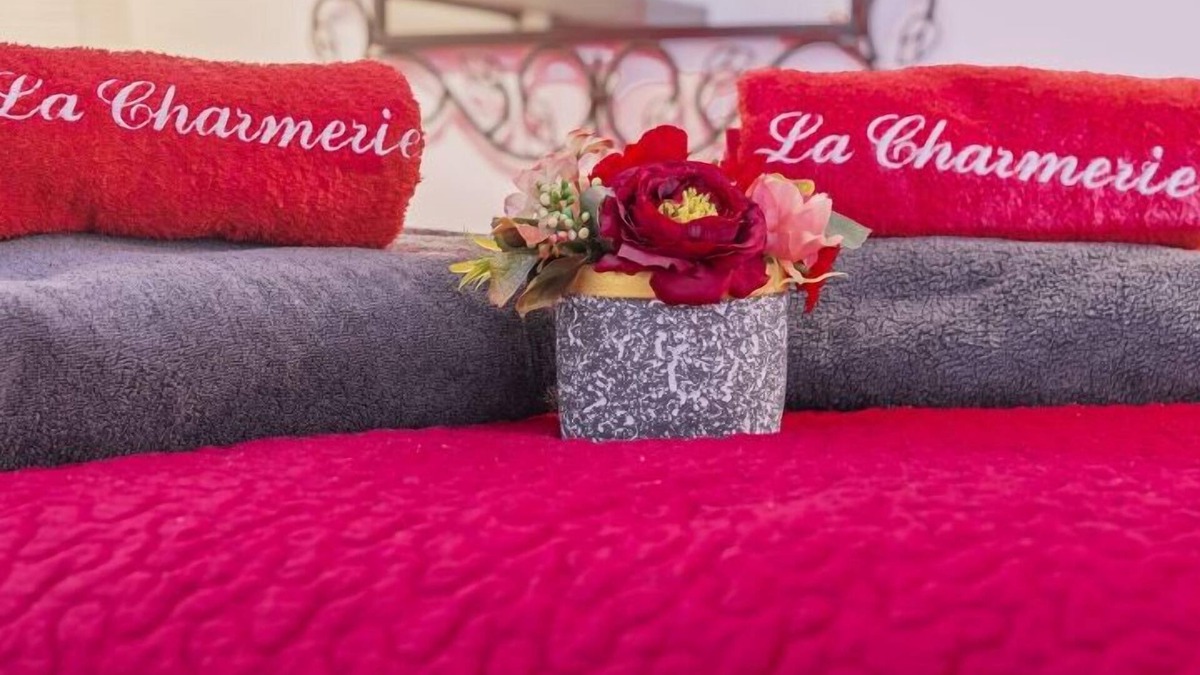 Les Grands Carmes Apartment | ღ CHARMERIE Air-conditioned duplex 5min from Vieux Port