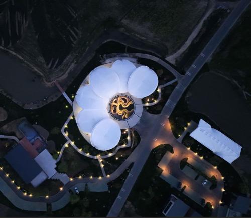 Lujiang House | 原舍花开台创民宿