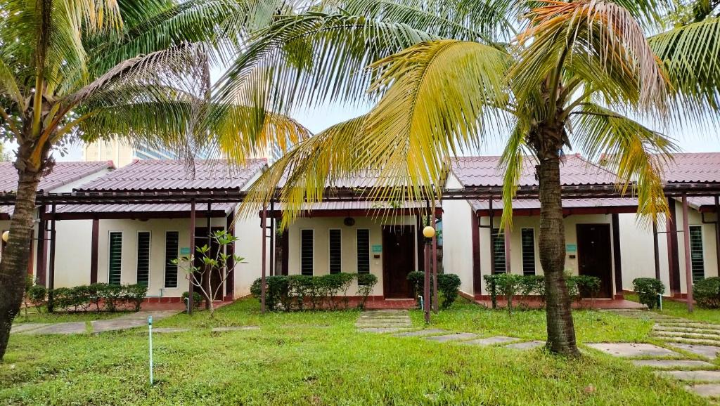 Sihanoukville City Centre Apartment | 双棕榈度假村