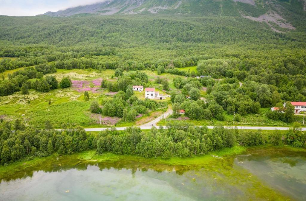 Balsfjord Cabin | 极光民宿Northern Lights