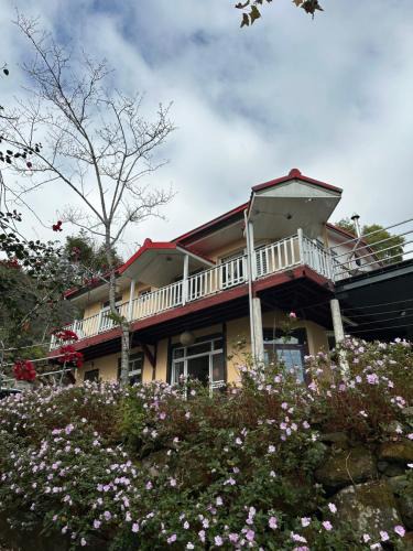 Alishan Bed & Breakfast | 樂野仙蹤