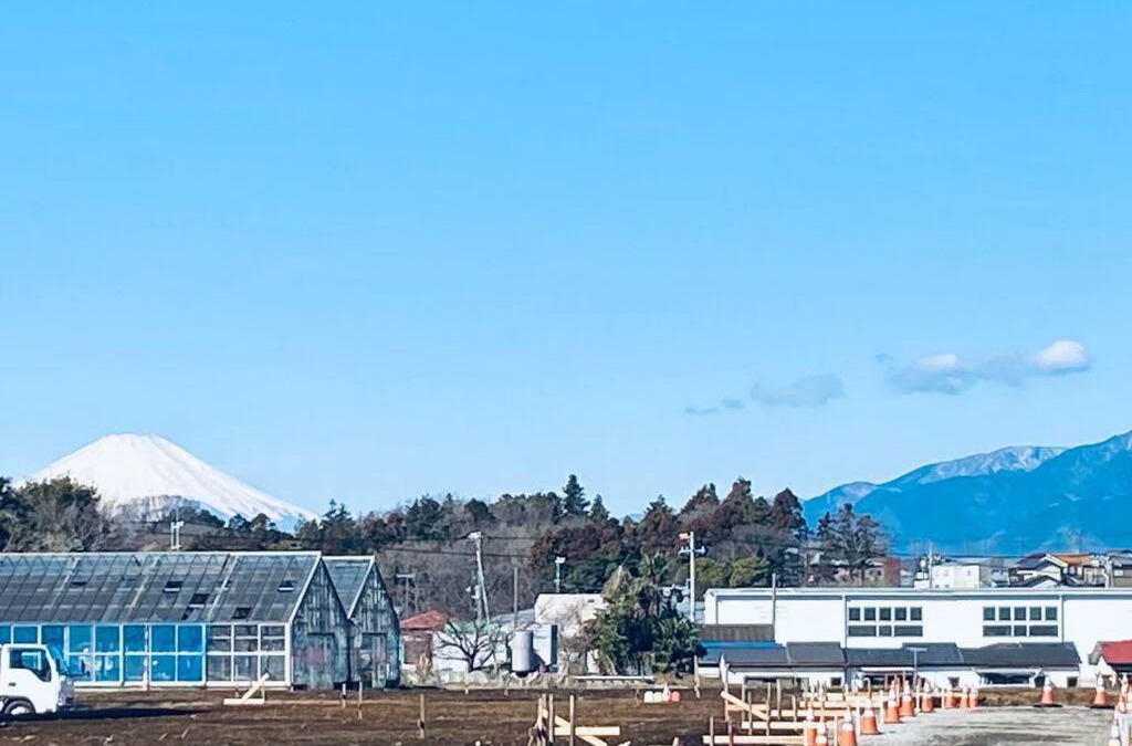 Fujisawa Villa | 江ノ島に近い富士山も眺めるまるまる貸切一軒家ーーー湘南の丘のヴィラ