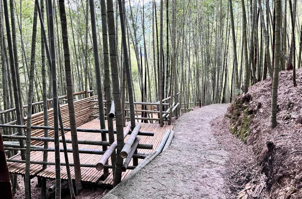 Sanyi House | 牛奶森林 柏竺山莊Bozhu villa